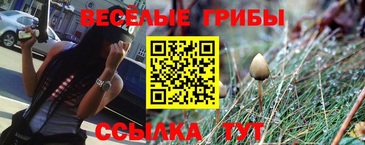 Псилоцибиновые грибы Magic Shrooms Орск
