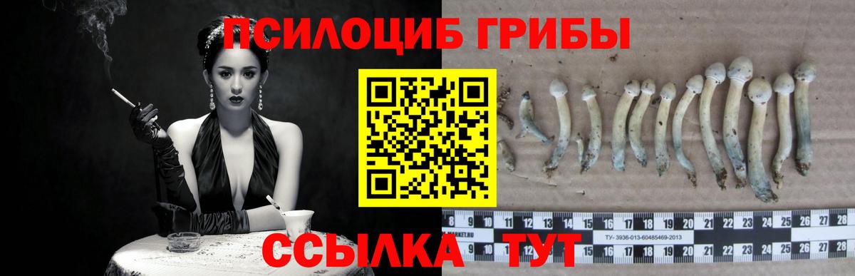 Орск  Псилоцибиновые грибы ЛСД  Вход с VPN 